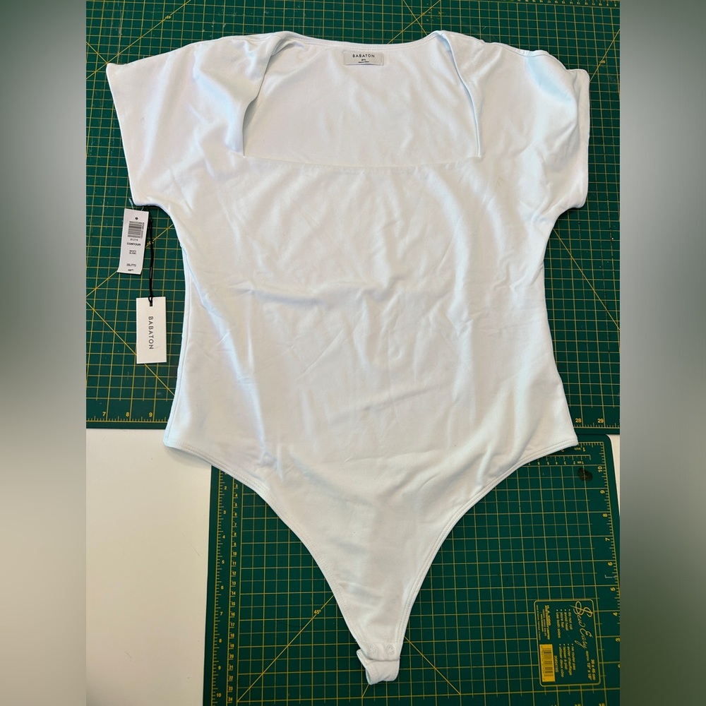 COPY - Aritzia Babaton